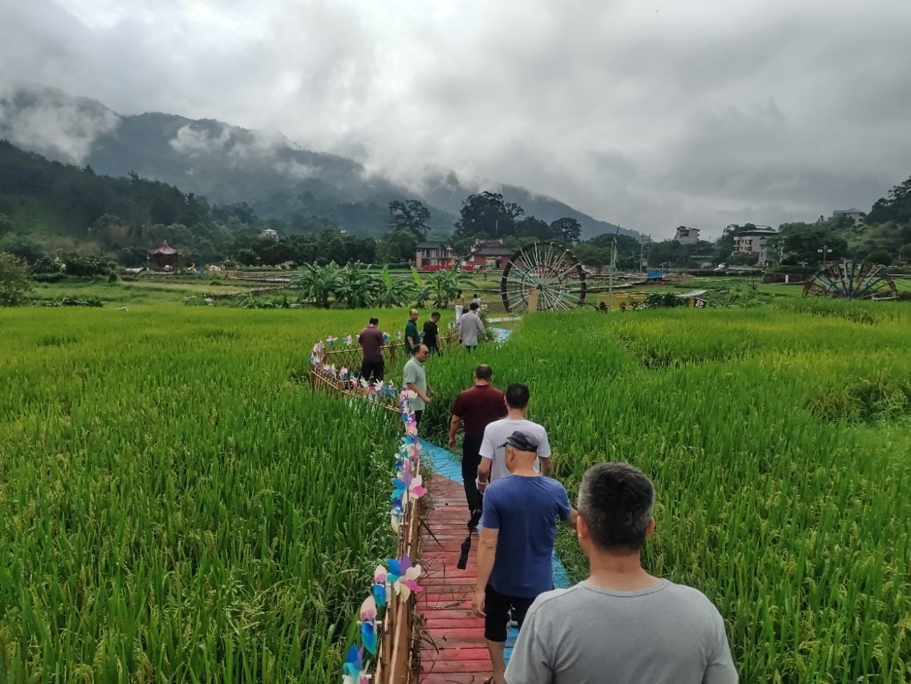 图片5.jpg 图片5.jpg