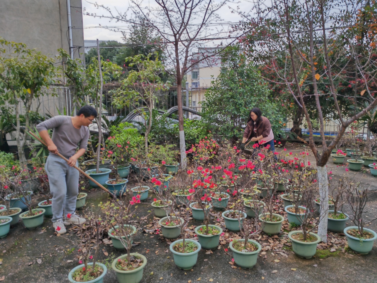 图片1.jpg 图片1.jpg