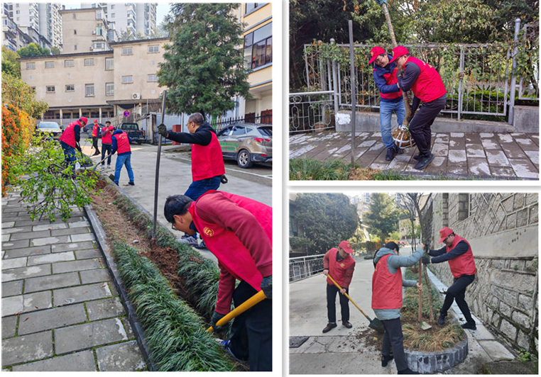 图片2.jpg 图片2.jpg