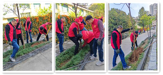 图片3.jpg 图片3.jpg