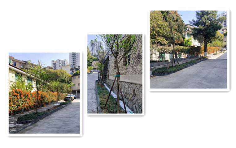 图片4.jpg 图片4.jpg