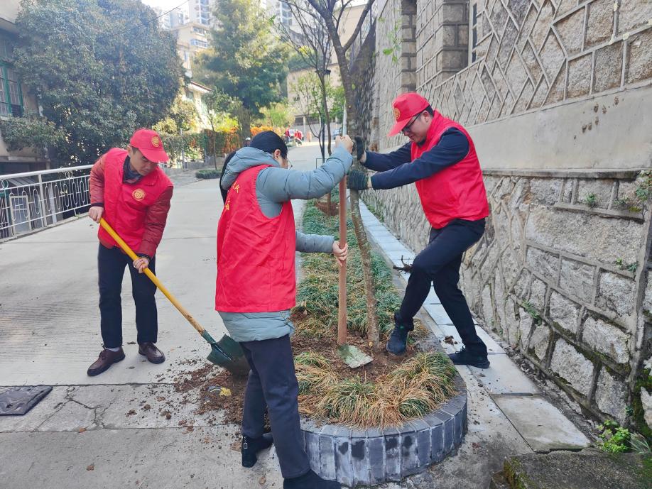 植树2.jpg 植树2.jpg