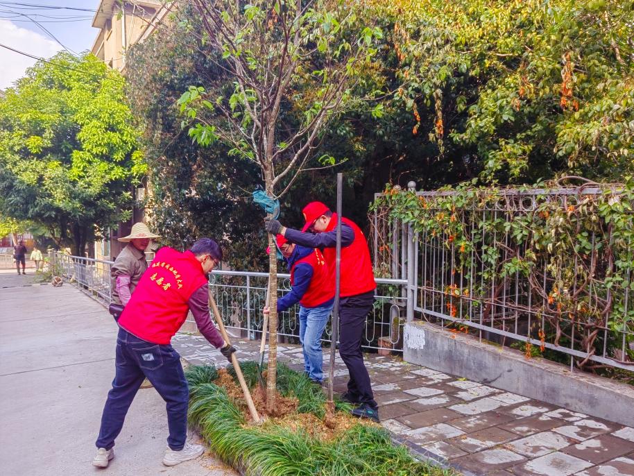 植树3.jpg 植树3.jpg